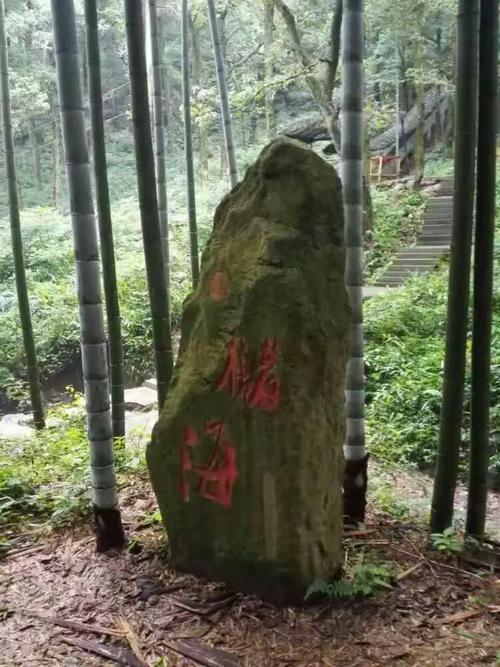安徵芜湖马仁奇峰之旅